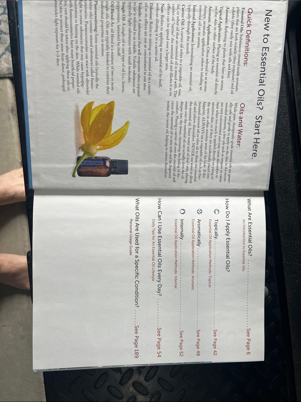 Modern Essentials Book - Picture 3 of 3